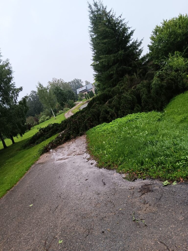 Rankas pagasts
Autors: Aiva Vasiļjeva