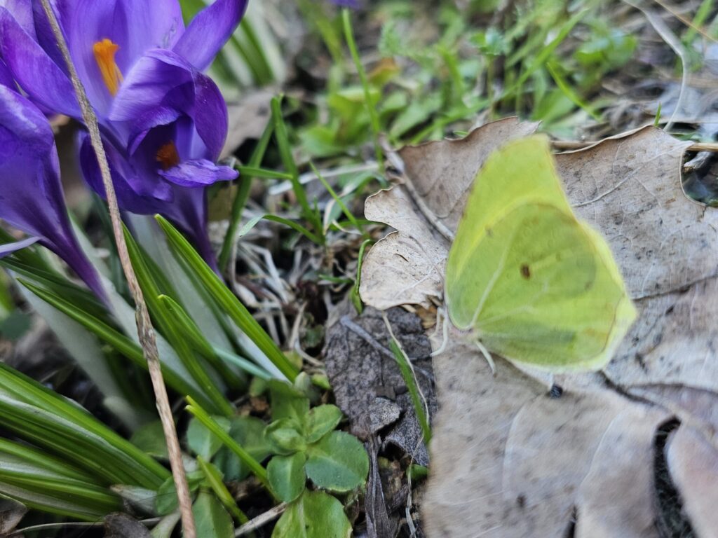 Autors: Foto iesūtījusi Karīna Sidorova
