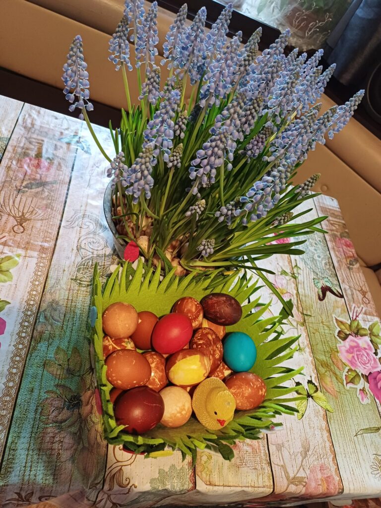 Autors: Foto iesūtījusi: Aiva Vasiļjeva