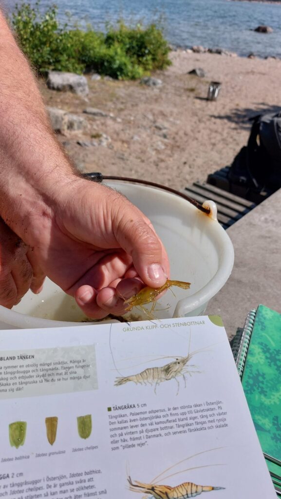 Autors: Foto: no nometnes arhīva