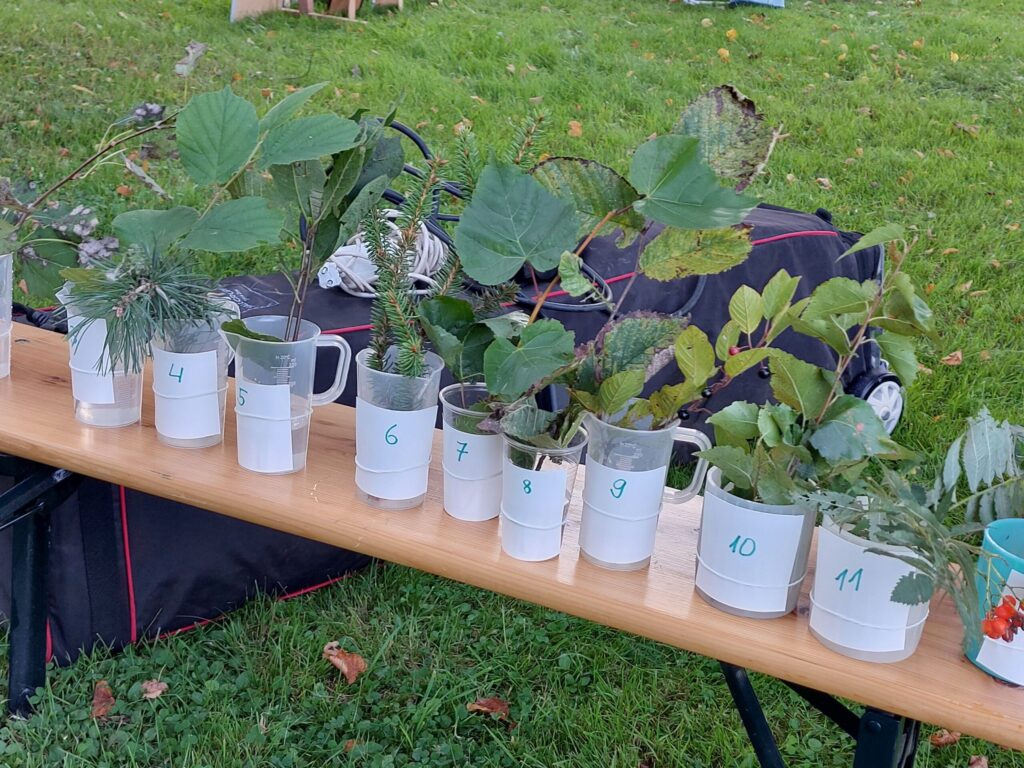 Autors: Foto: Pārsla Konrāde