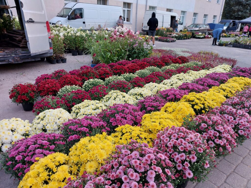 Autors: Foto: Pārsla Konrāde