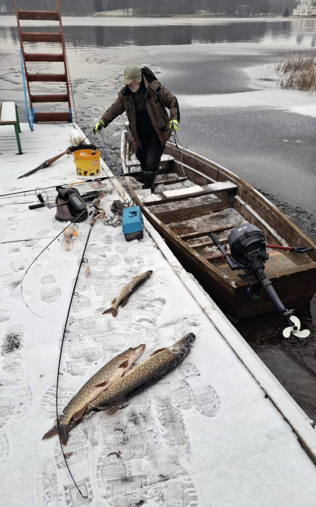 TIEM KURUS NEBIEDĒJA STĪVAS KĀJAS, muguras un neliela aukstuma sajūta pēc laivā pavadītajām stundām, ap Ziemassvētkiem un Jaungadu vēl pamanījās tikt pie brangām līdakām. 
Autors: FOTO: GATIS BOGDANOVS