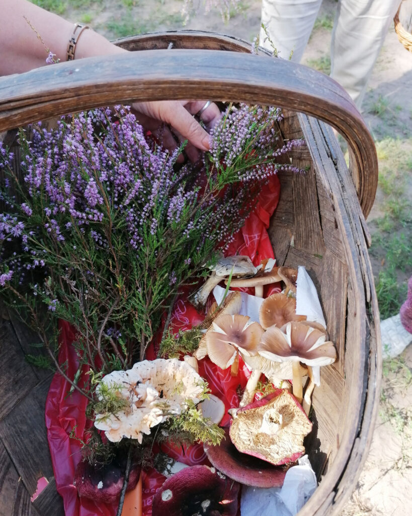 Autors: Foto: Edijs Frīdenbergs