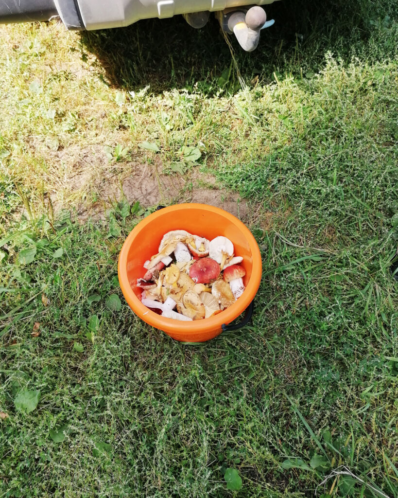 Autors: Foto: Edijs Frīdenbergs