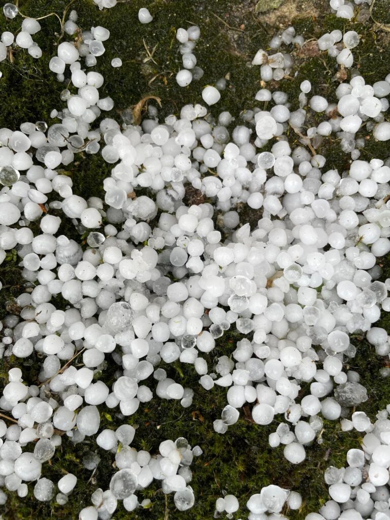 Autors: Foto: Diāna Odumiņa