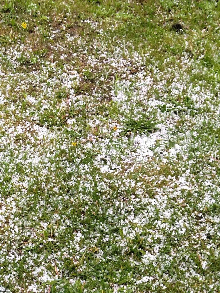 Autors: Foto: Antra Tiltanova