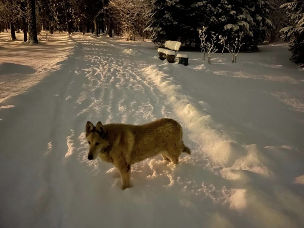 Autors: Foto: Diāna Odumiņa