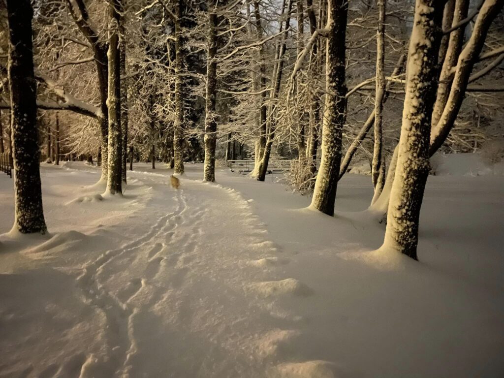 Autors: Foto: Diāna Odumiņa