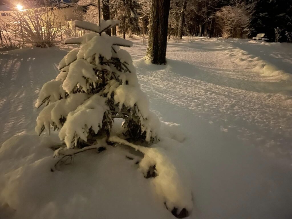 Autors: Foto: Diāna Odumiņa