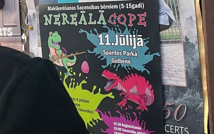 Aluksniesiem.lv raksta attēla aizvietotājs