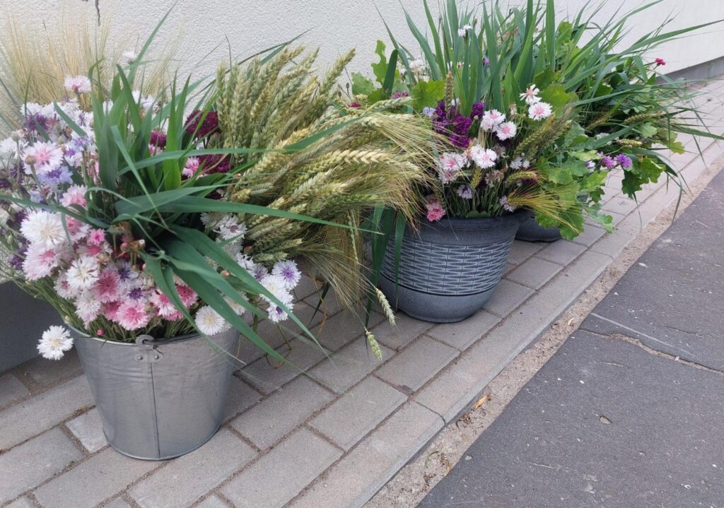 Gulbenes kultūras centra jauktais koris "Harmonija" ceļā uz Rīgu.
Autors: Foto: "Facebook"/Gulbenes kultūras centrs