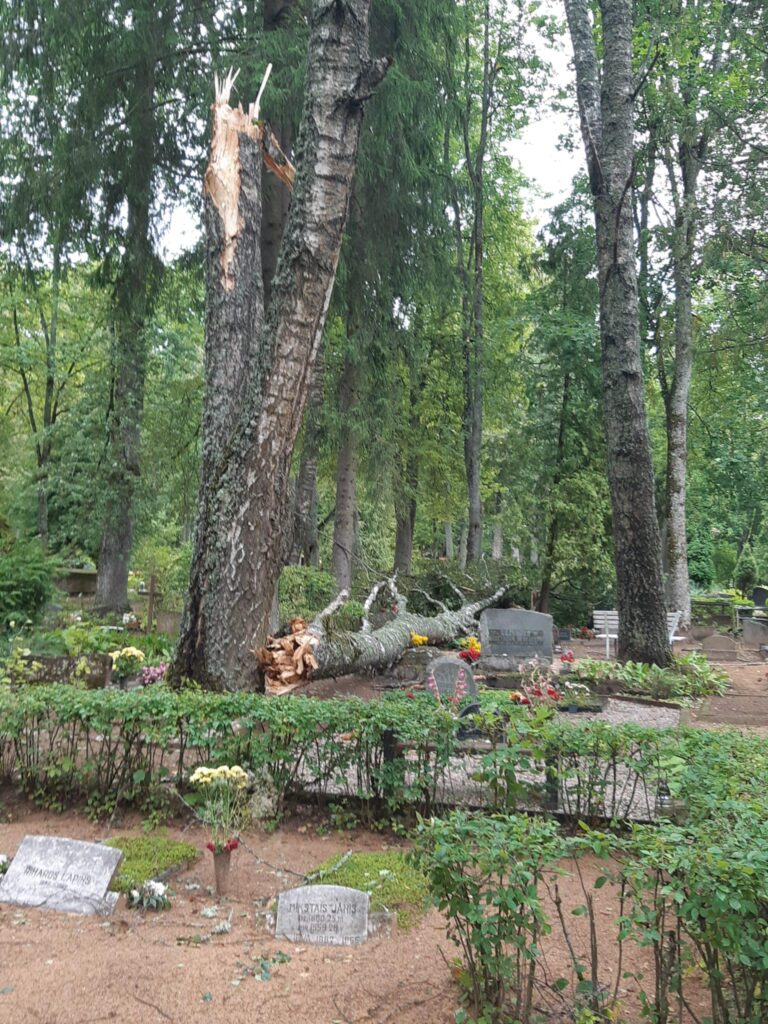 Pēc vētras Gulbenes Vecajos kapos otrdien, 8.augustā, agrā rītā. 
Autors:  Foto: no privātā arhīva