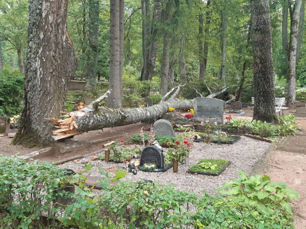 Pēc vētras Gulbenes Vecajos kapos otrdien, 8.augustā, agrā rītā. 
Autors:  Foto: no privātā arhīva