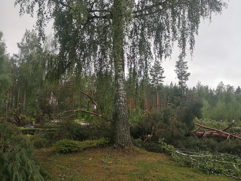 Lizuma pagasta Sila kapi.
Autors:  Foto L. Vaļģe. 