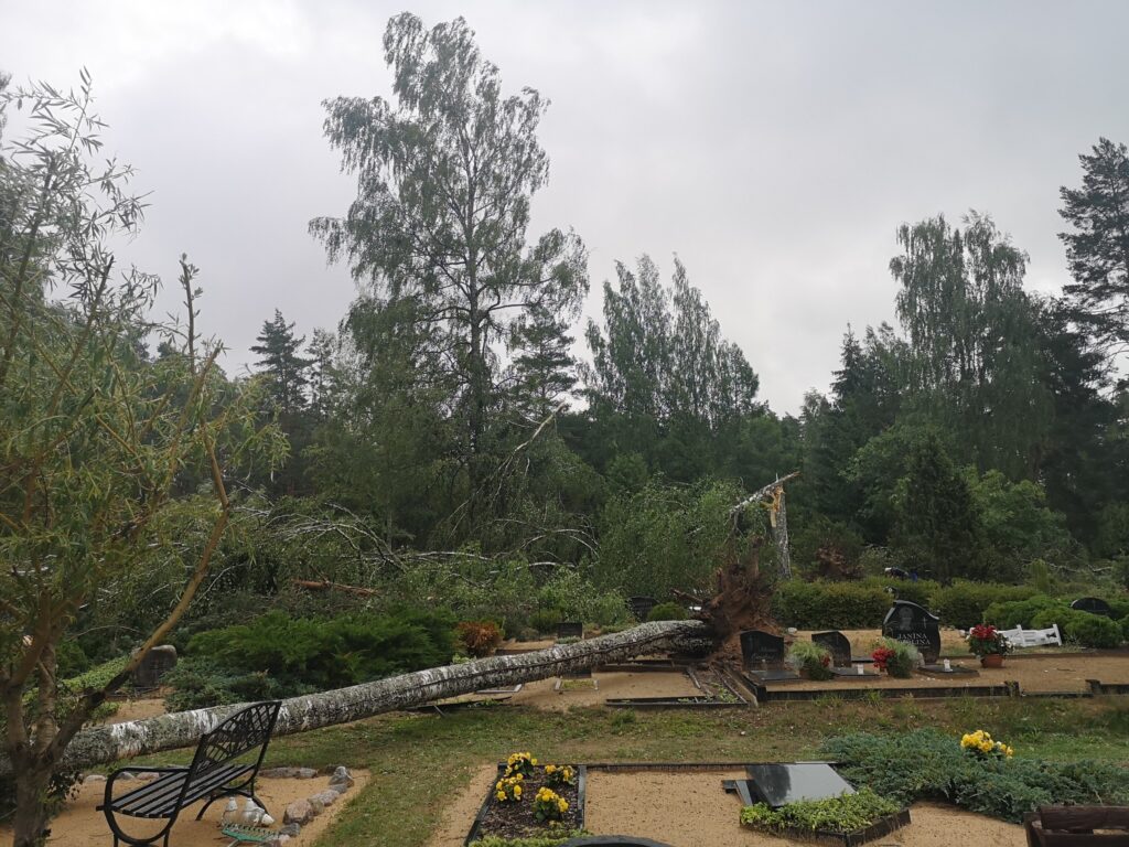 Lizuma pagasta Sila kapi.
Autors:  Foto L. Vaļģe. 