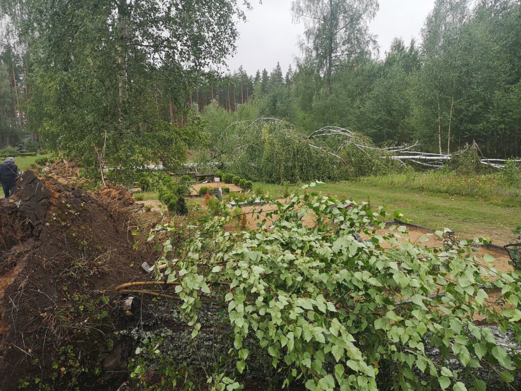 Lizuma pagasta Sila kapi.
Autors:  Foto L. Vaļģe. 