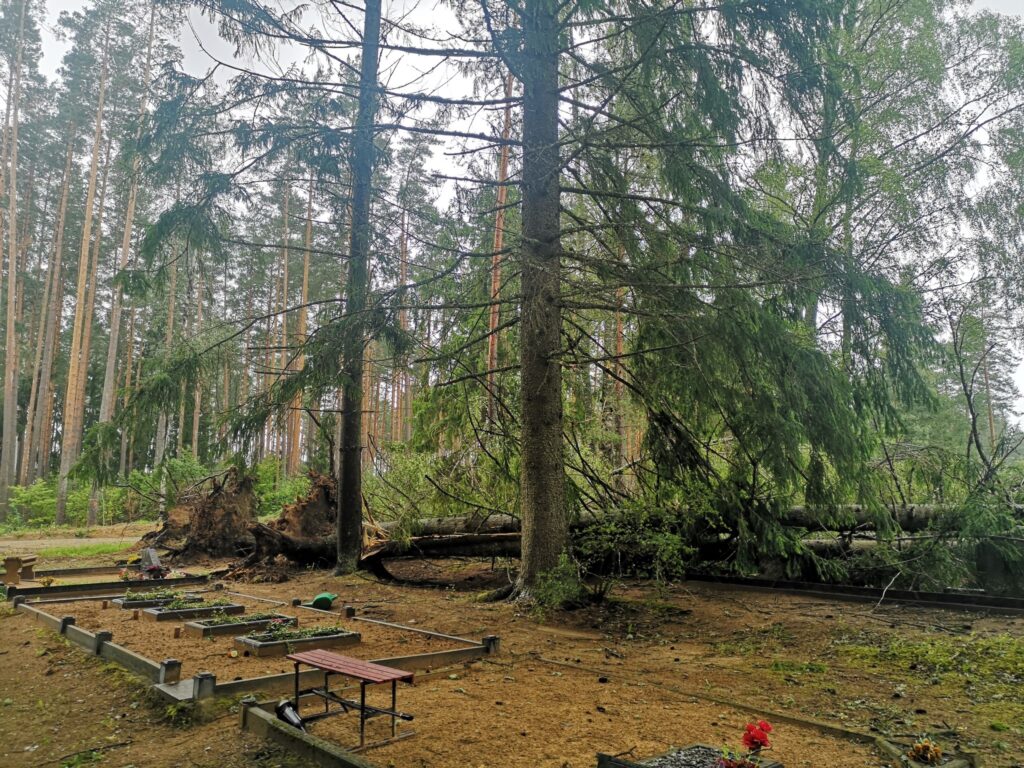 Lizuma pagasta Sila kapi.
Autors:  Foto L. Vaļģe. 