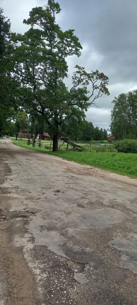 Lizums.
Autors: Foto: Gundega Ozoliņa ("Facebook")