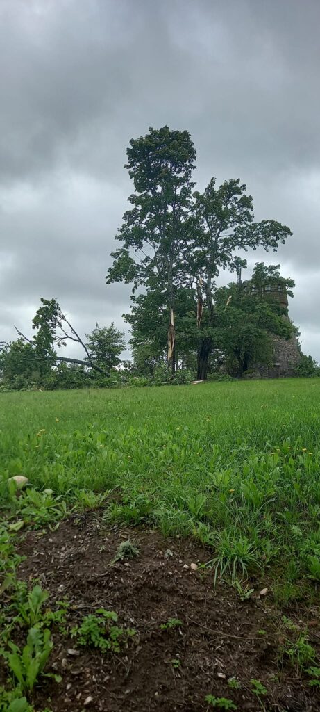 Lizums.
Autors: Foto: Gundega Ozoliņa ("Facebook")