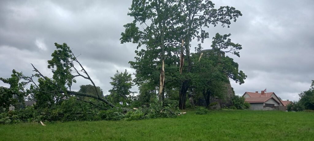 Lizums.
Autors: Foto: Gundega Ozoliņa ("Facebook")