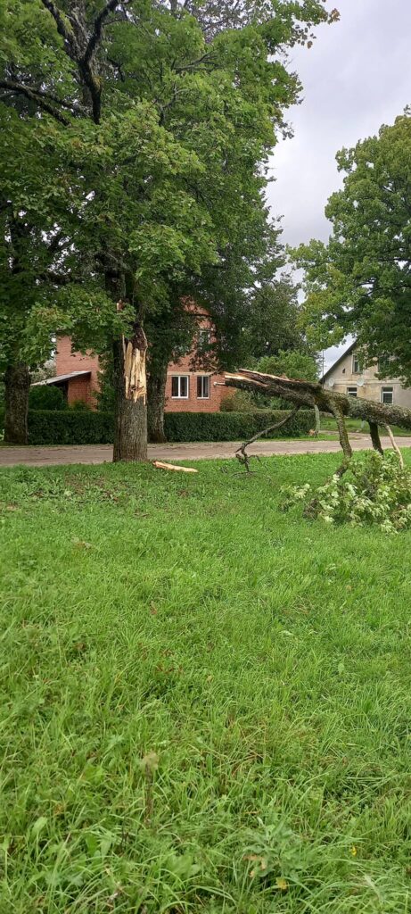 Lizums.
Autors: Foto: Gundega Ozoliņa ("Facebook")