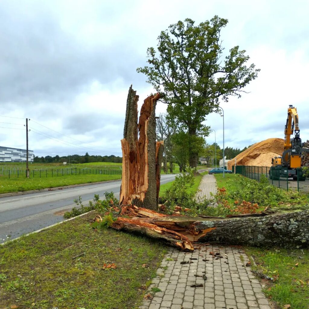 Lizuma pagasts.
Autors: Foto: Inta Dārzniece ("Facebook")