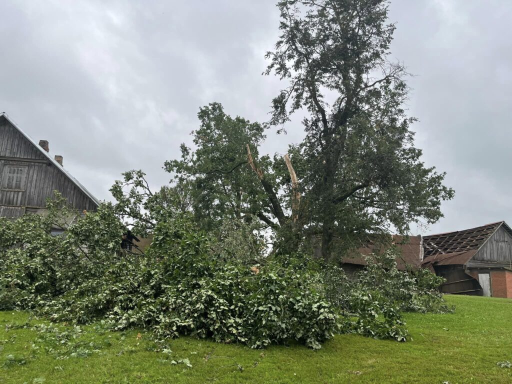 Rimstavas.
Autors: Foto: Galgauskas pagasts ("Facebook")