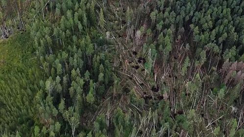 Gulbenes novads no putna lidojuma.
Autors: Iesūtījusi: Līga Ende-Griķe