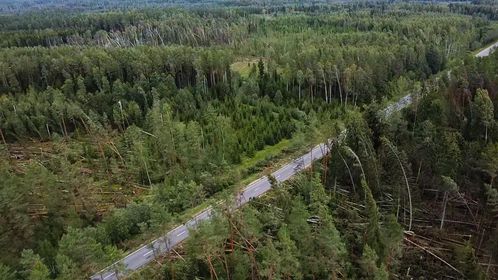 Gulbenes novads no putna lidojuma.
Autors: Iesūtījusi: Līga Ende-Griķe