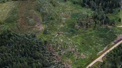 Gulbenes novads no putna lidojuma.
Autors: Iesūtījusi: Līga Ende-Griķe