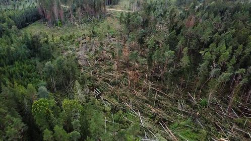 Gulbenes novads no putna lidojuma.
Autors: Iesūtījusi: Līga Ende-Griķe
