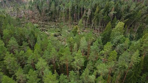 Gulbenes novads no putna lidojuma.
Autors: Iesūtījusi: Līga Ende-Griķe