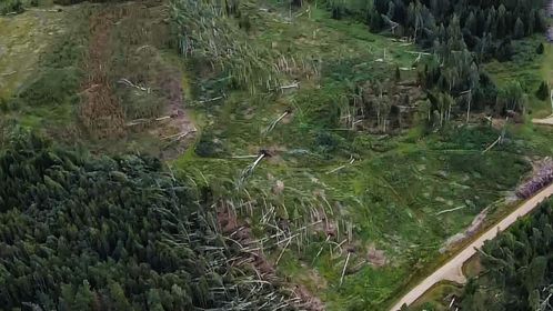 Gulbenes novads no putna lidojuma.
Autors: Iesūtījusi: Līga Ende-Griķe