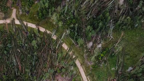 Gulbenes novads no putna lidojuma.
Autors: Iesūtījusi: Līga Ende-Griķe