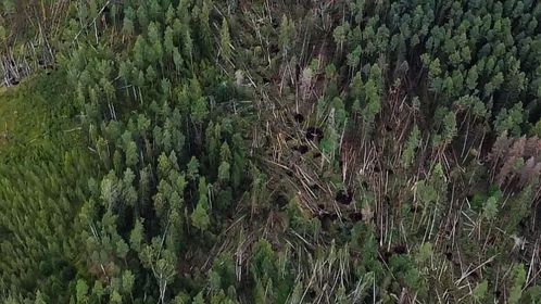 Gulbenes novads no putna lidojuma.
Autors: Iesūtījusi: Līga Ende-Griķe