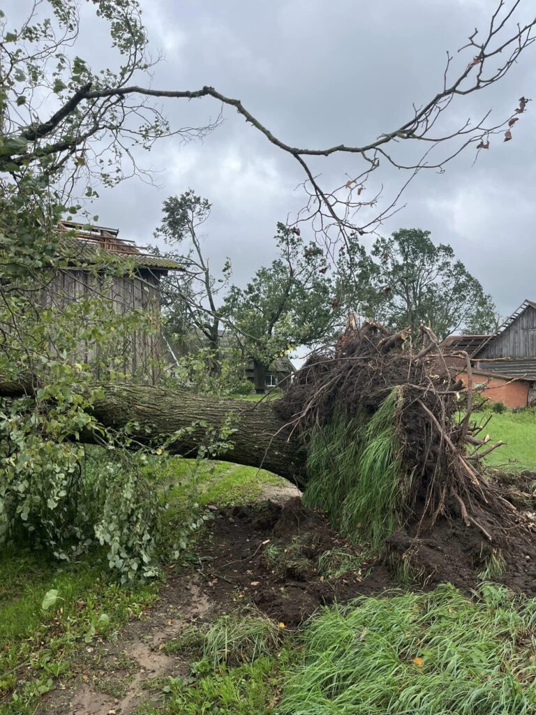 Rimstavas.
Autors: Foto: Galgauskas pagasts ("Facebook")