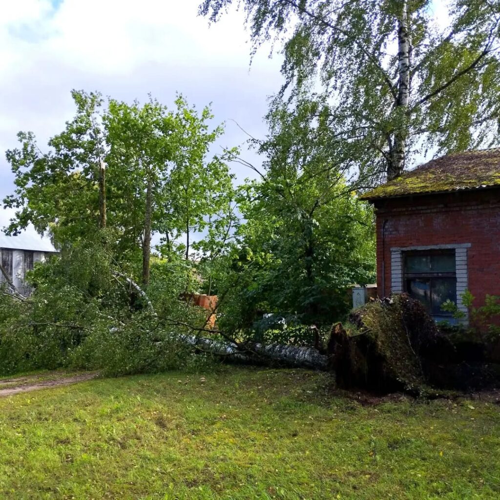 Lizuma pagasts.
Autors: Foto: Inta Dārzniece ("Facebook")