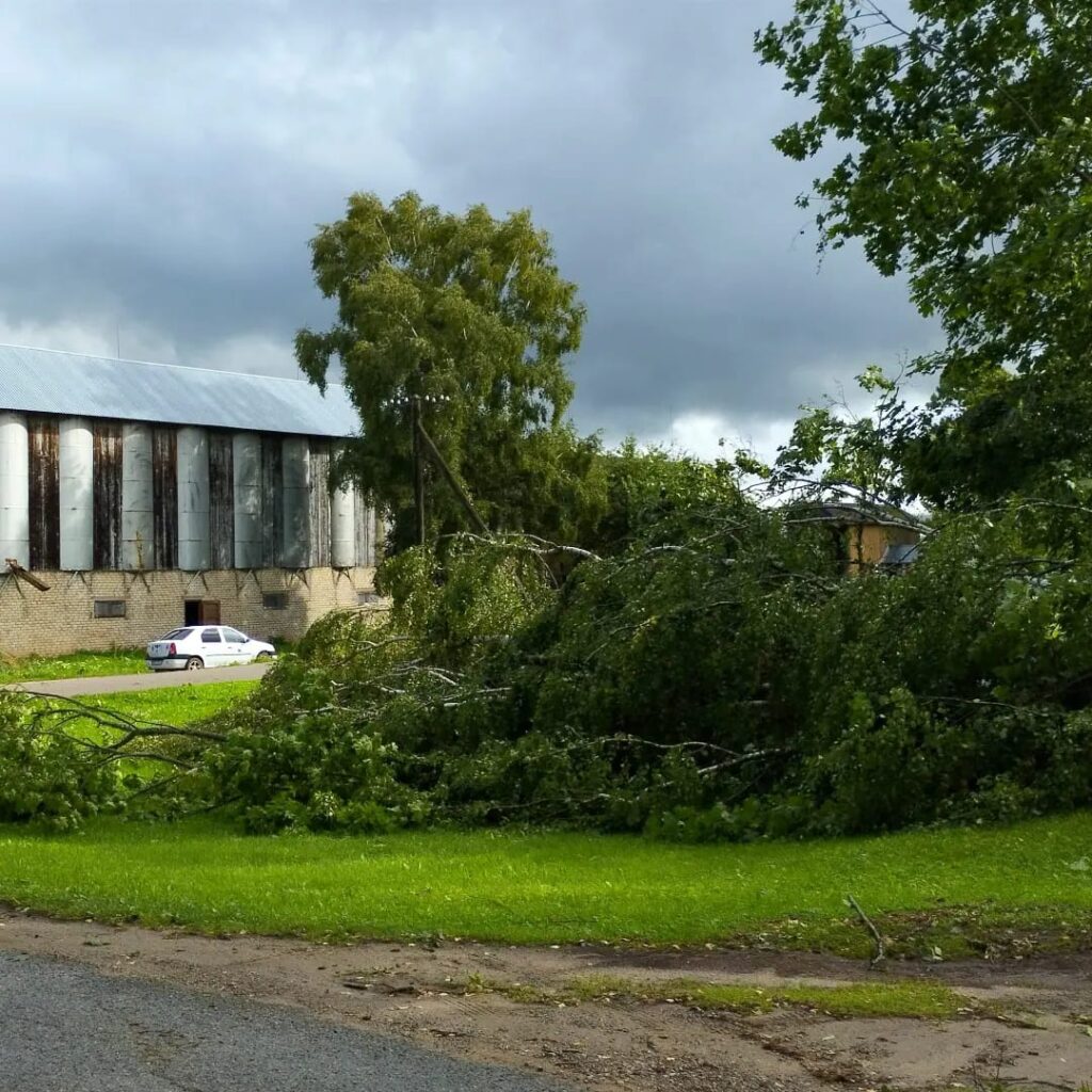 Lizuma pagasts.
Autors: Foto: Inta Dārzniece ("Facebook")