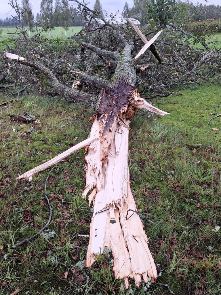 Līgo pagasts.
Autors: Foto: Dagnija Mežule ("Facebook")