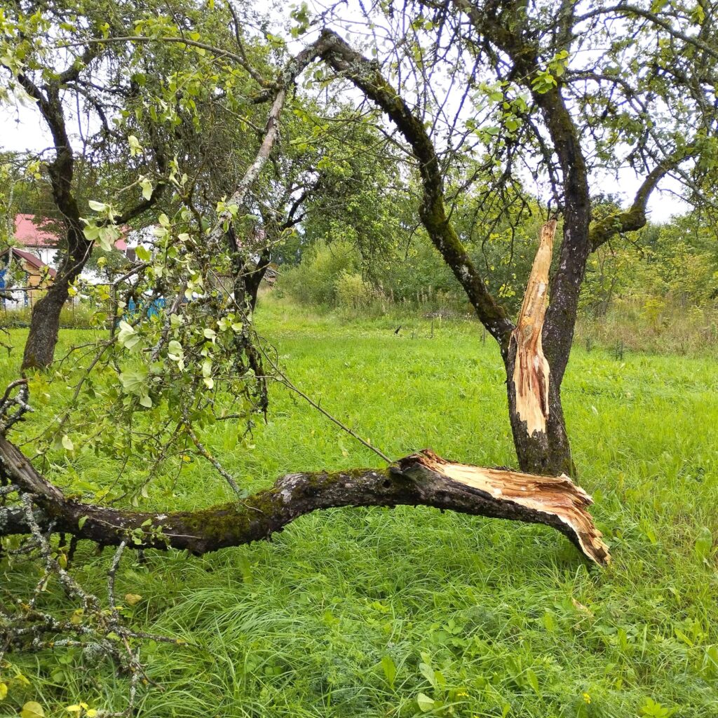 Lizuma pagasts.
Autors: Foto: Inta Dārzniece ("Facebook")