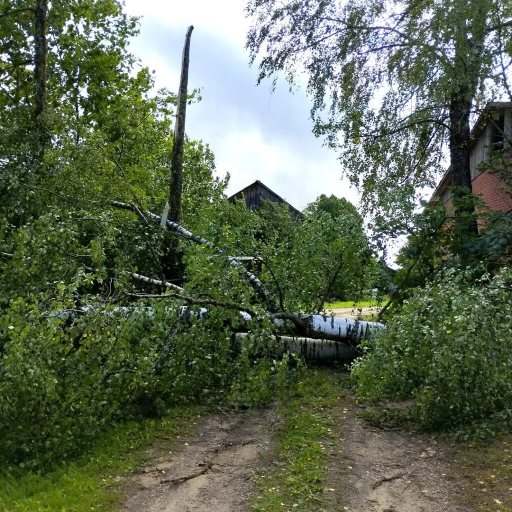 Lizuma pagasts.
Autors: Foto: Inta Dārzniece ("Facebook")