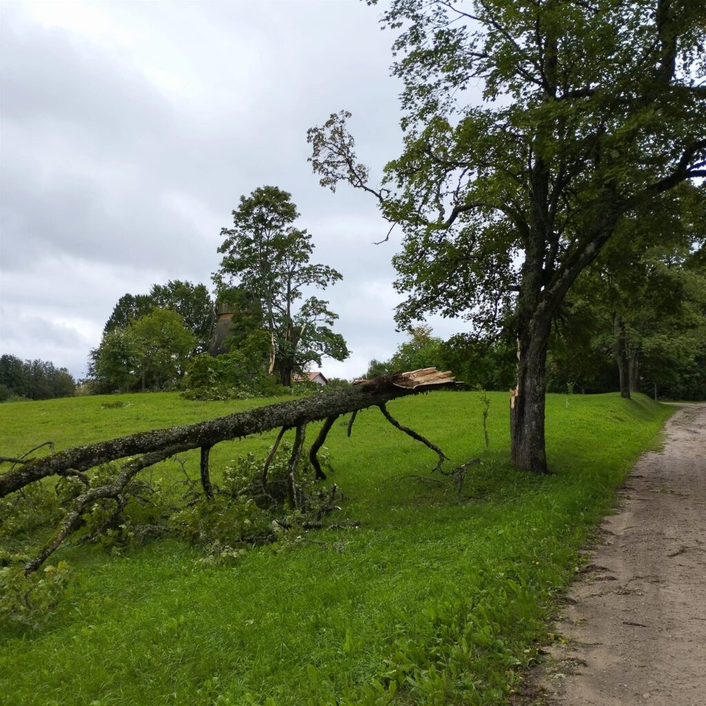 Lizuma pagasts.
Autors: Foto: Inta Dārzniece ("Facebook")