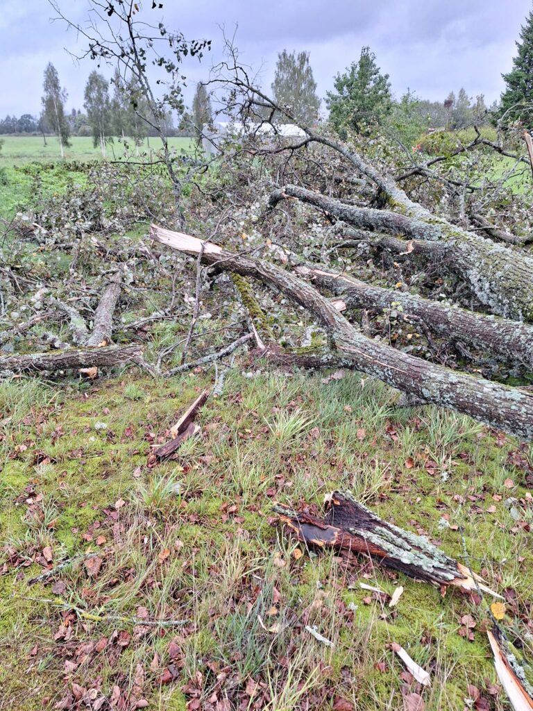 Līgo pagasts.
Autors: Foto: Dagnija Mežule ("Facebook")