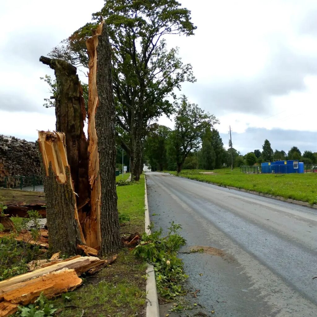 Lizuma pagasts.
Autors: Foto: Inta Dārzniece ("Facebook")