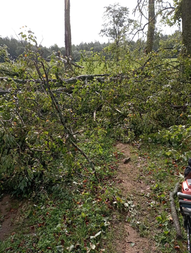 Rimstavas.
Autors: Foto: Galgauskas pagasts ("Facebook")