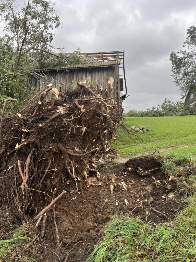Rimstavas.
Autors: Foto: Galgauskas pagasts ("Facebook")