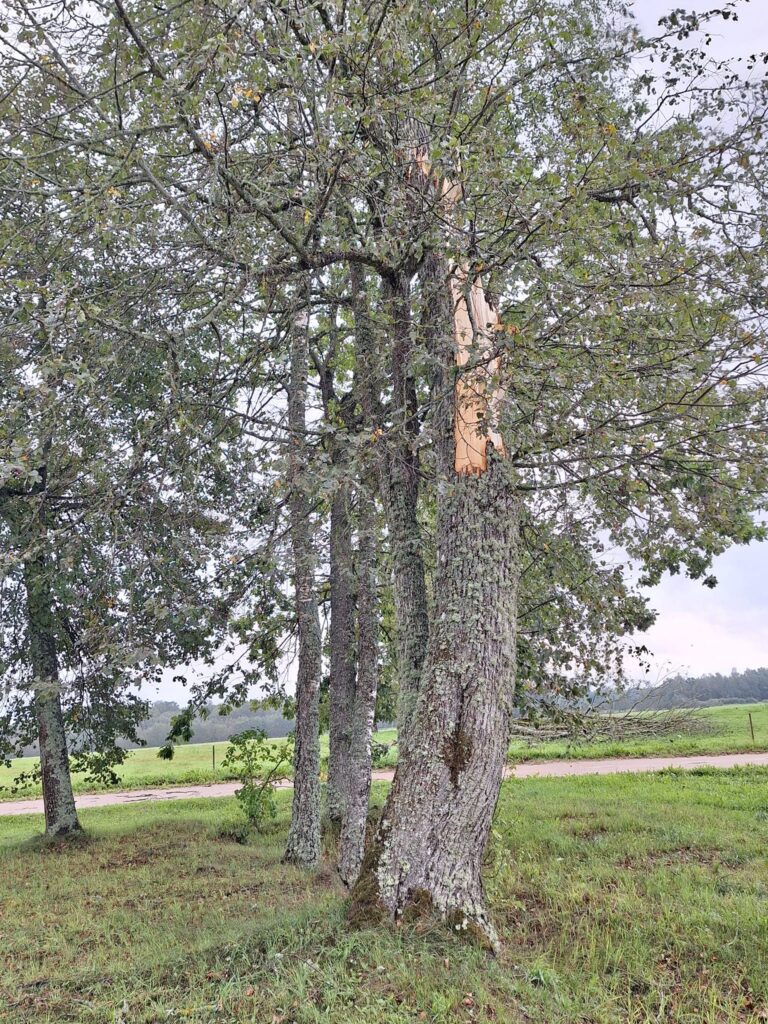 Līgo pagasts.
Autors: Foto: Dagnija Mežule ("Facebook")