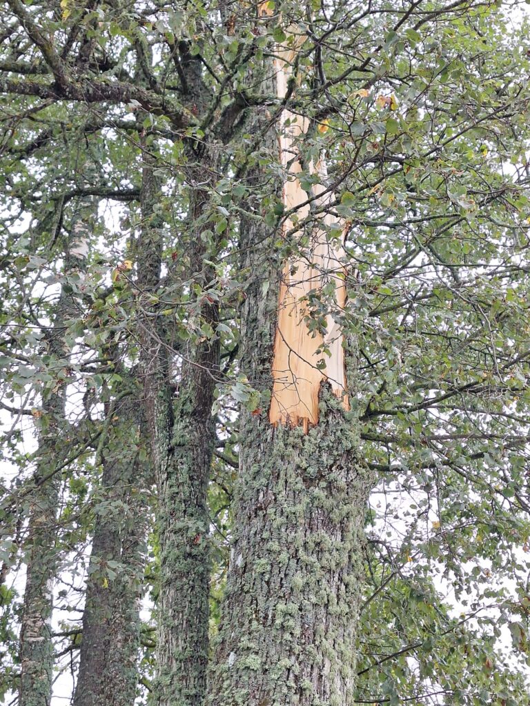 Līgo pagasts.
Autors: Foto: Dagnija Mežule ("Facebook")