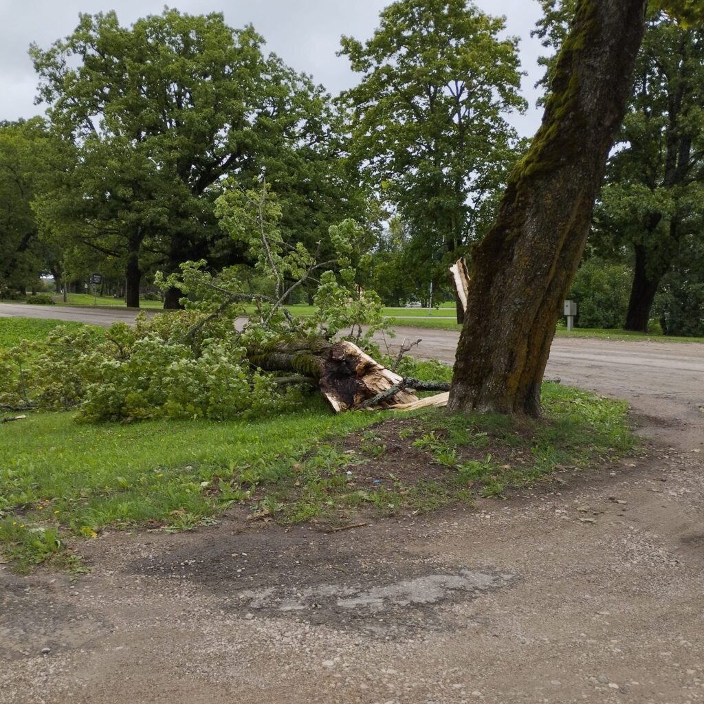 Lizuma pagasts.
Autors: Foto: Inta Dārzniece ("Facebook")